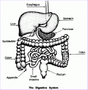 θ